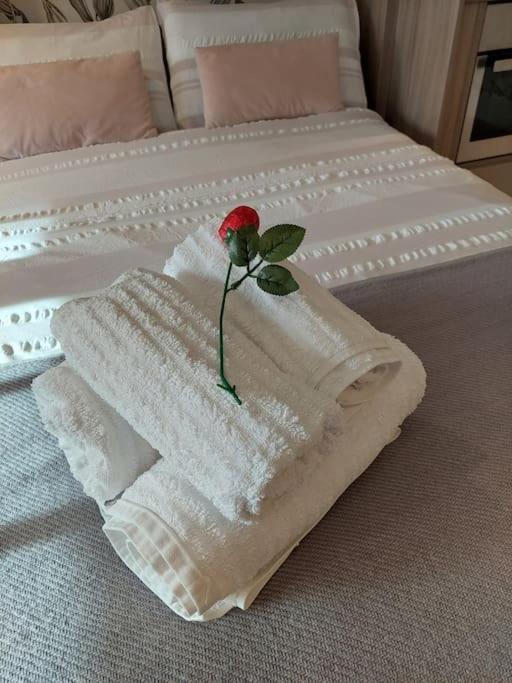 21 The Cocoa Suites York Eksteriør bilde